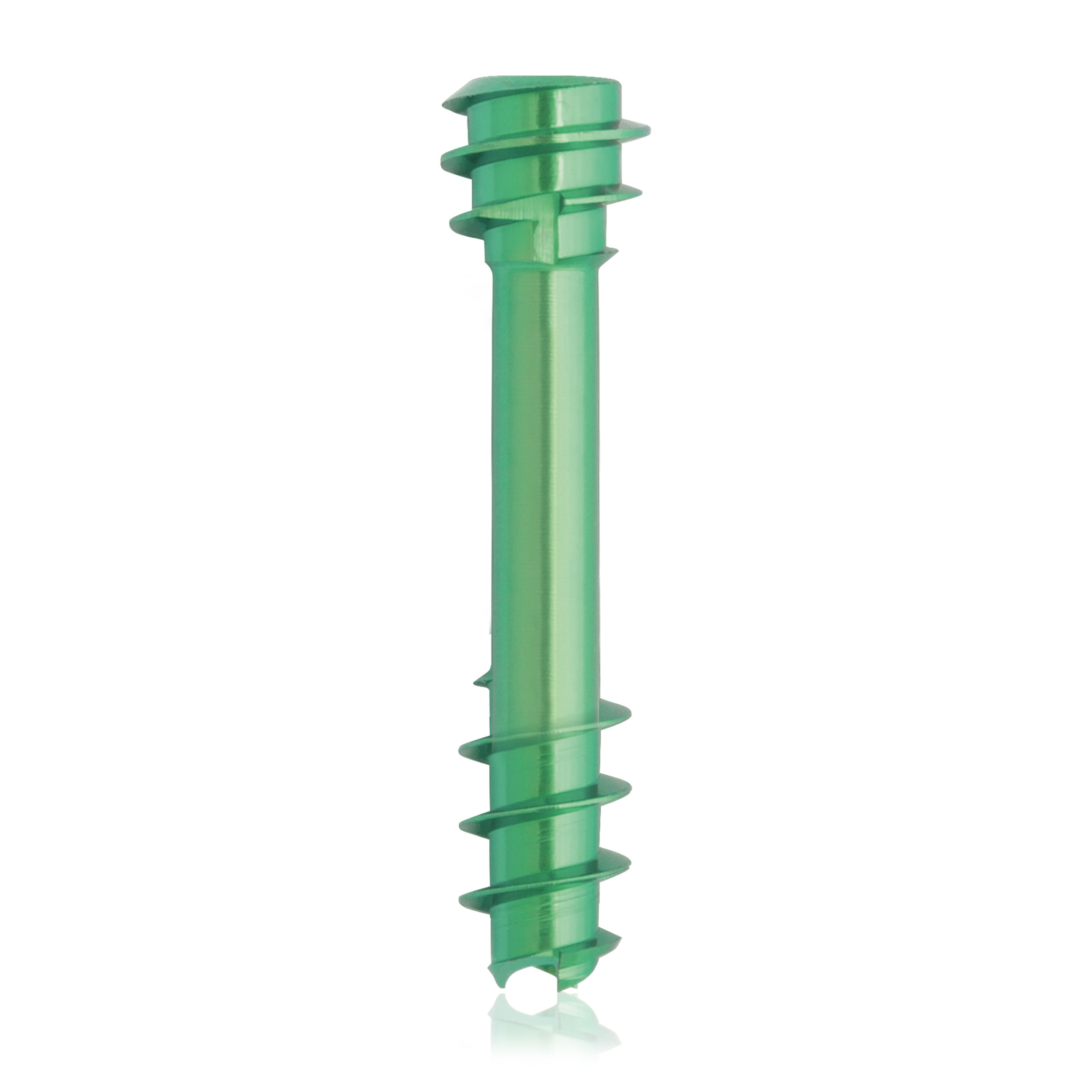 L = 20mm